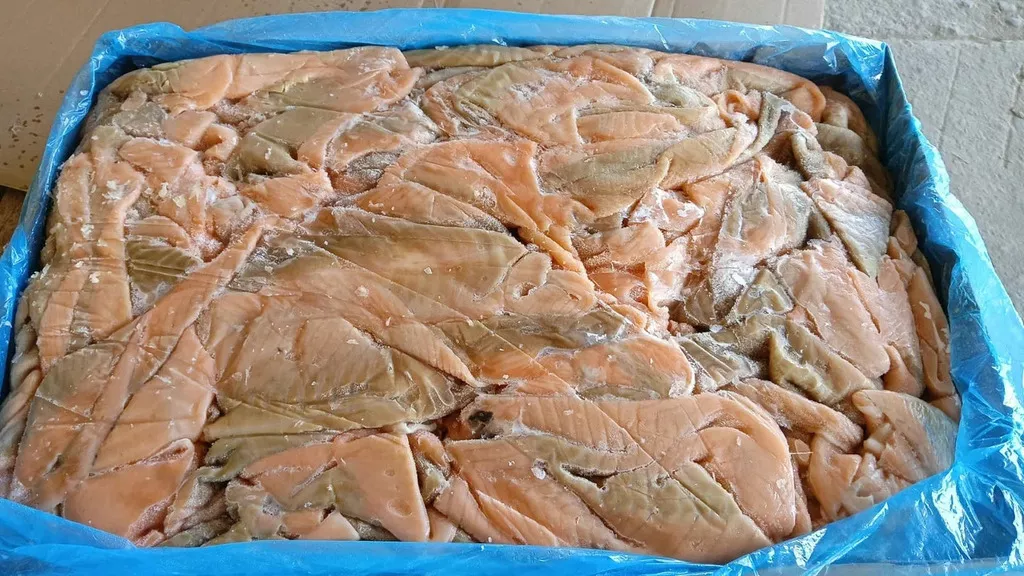 фотография продукта Срезки лосося(подкожный)без кости, кожи 